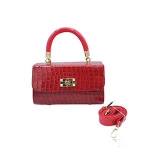 Dholak Stylish Bag